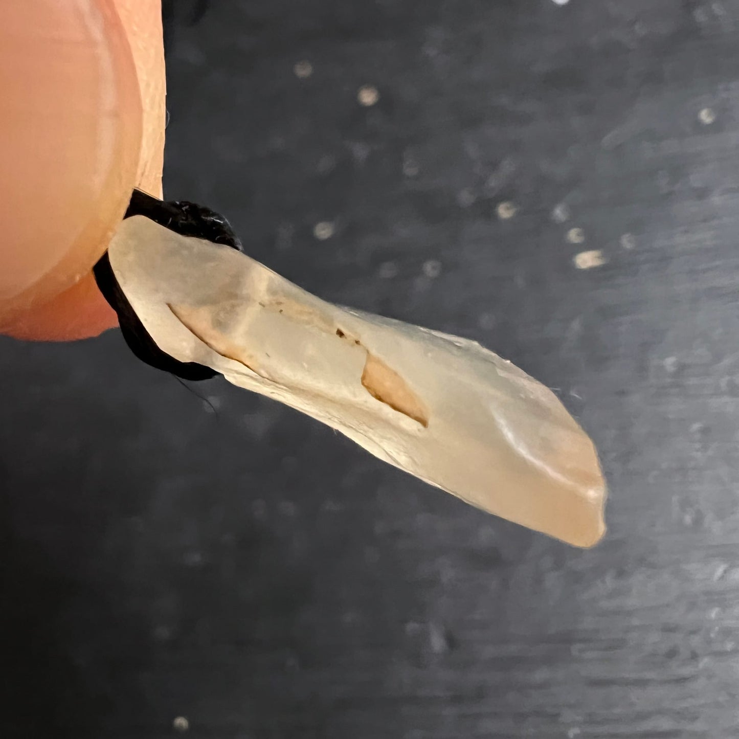 Libysches Wüstenglas Anhänger, roh gebohrt, cremig-honigfarben mit glasigen Facetten und Einschluss | Happy Minerals