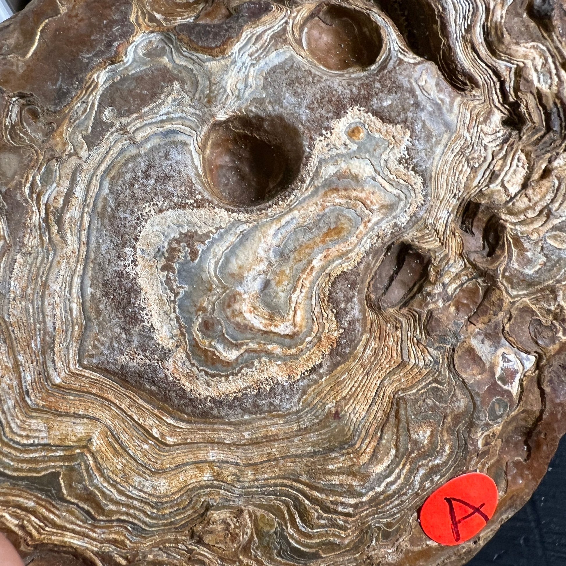Madagaskar Achat Detailaufnahme | filigrane Bänderstruktur | braun-graue Nuancen | Happy Minerals