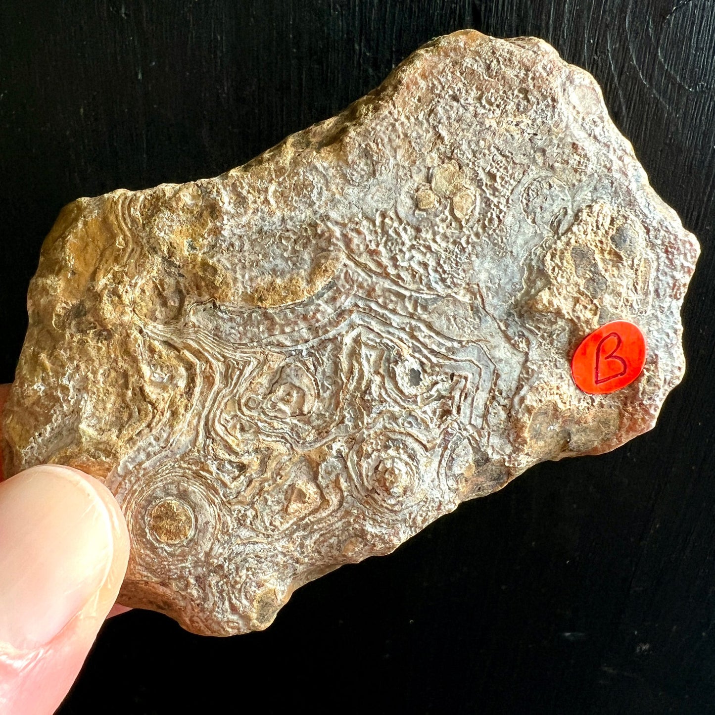 Madagaskar Achat Rohstein Variante B | cremige Schichtungen | natürliche Maserung | Happy Minerals