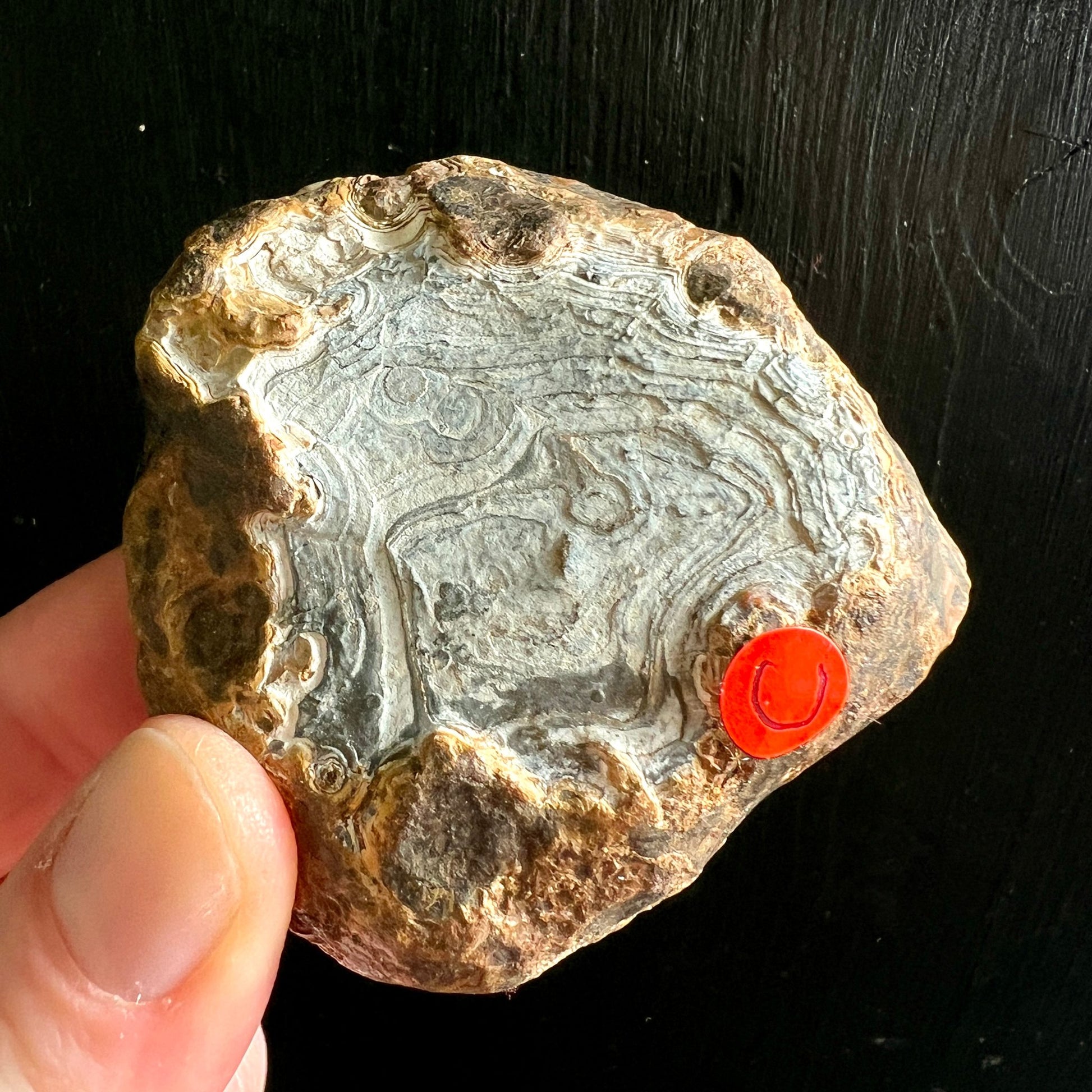 Madagaskar Achat Rohstein Variante C | graue Achatbänder | elegante Strukturen | Happy Minerals