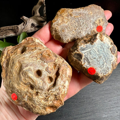 Madagaskar Achat Rohsteine Handvergleich | Größendarstellung | Treibholz Dekoration | Happy Minerals