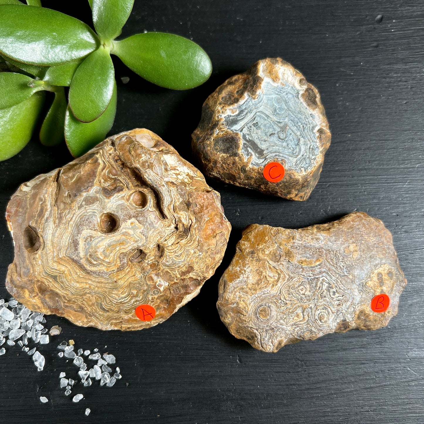 Madagaskar Achat Rohsteine | drei Exemplare | Sukkulente Dekoration | natürliche Vielfalt | Happy Minerals