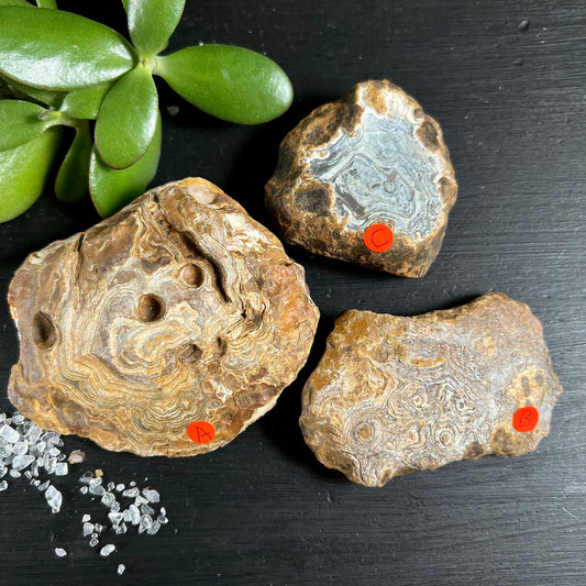 Madagaskar Achat Rohsteine | drei Exemplare | Sukkulente Dekoration | natürliche Vielfalt | Happy Minerals