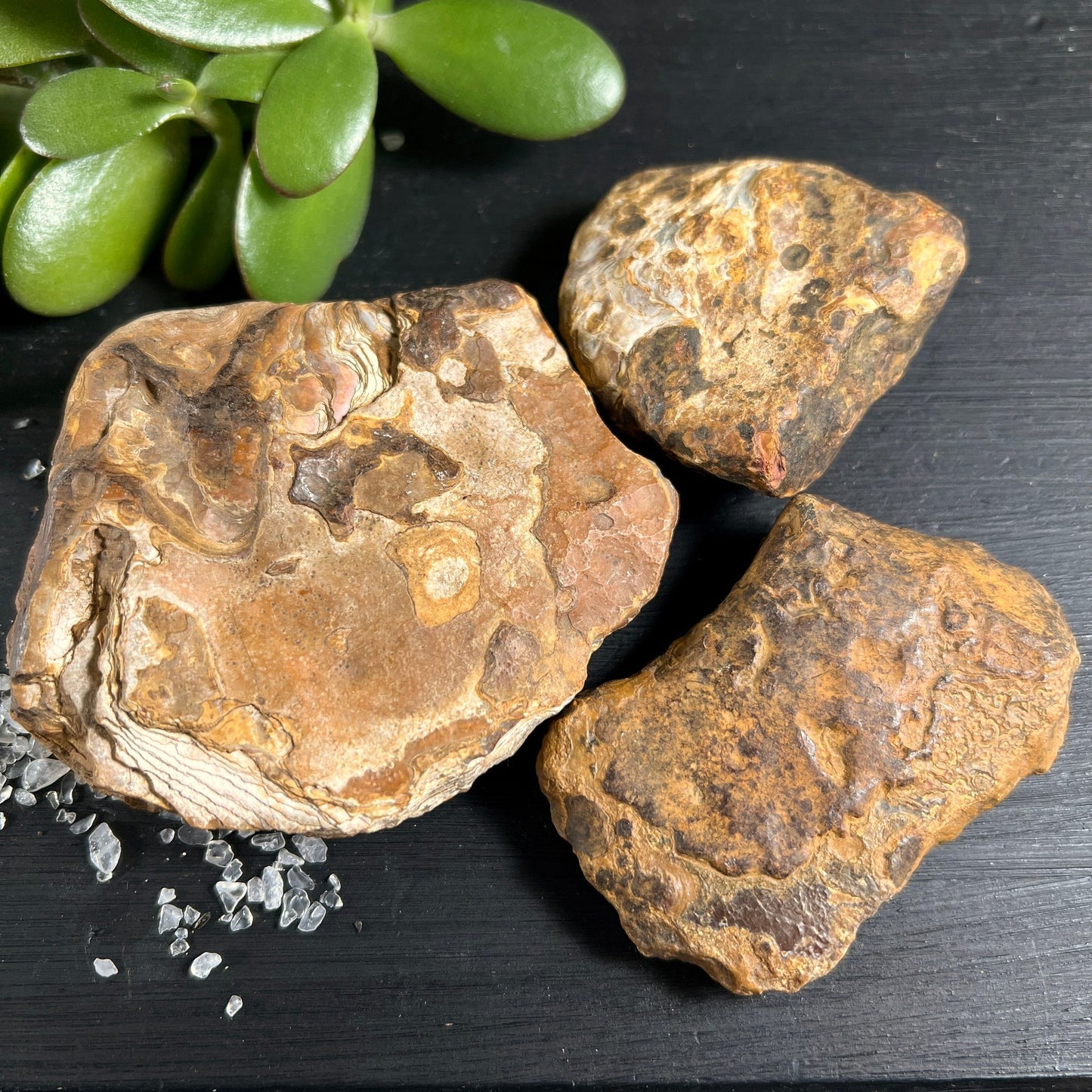 Madagaskar Achat Rohsteine Rückseite | erdige Naturtöne | unpolierte Oberflächen | Happy Minerals