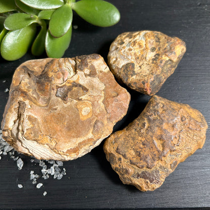 Madagaskar Achat Rohsteine Rückseite | erdige Naturtöne | unpolierte Oberflächen | Happy Minerals