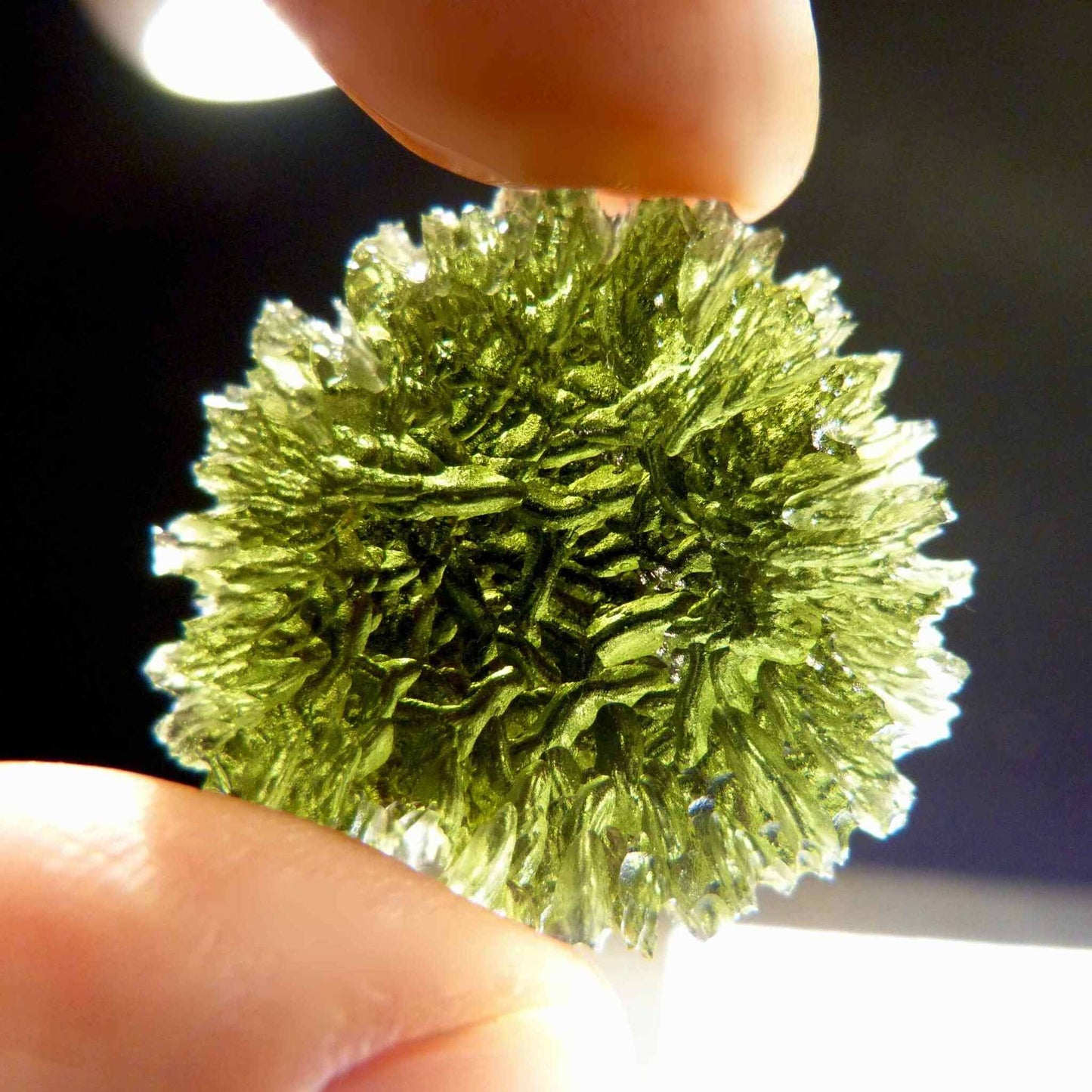 Seltener roher Besednice Moldavit mit filigraner Oberflächenstruktur in leuchtendem Grün zwischen zwei Fingern – Happy Minerals
