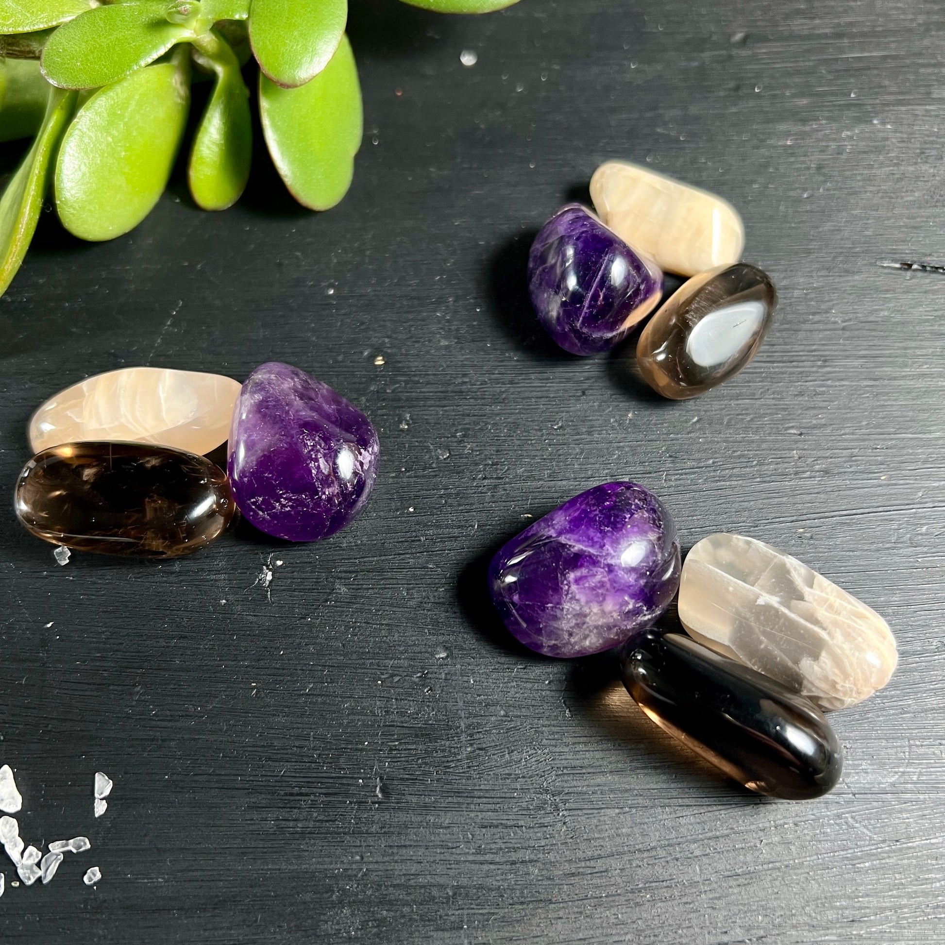 Mondstein Sambia Amethyst Rauchquarz Trommelsteine | Schimmernde Kristalle mit Sukkulente | Happy Minerals