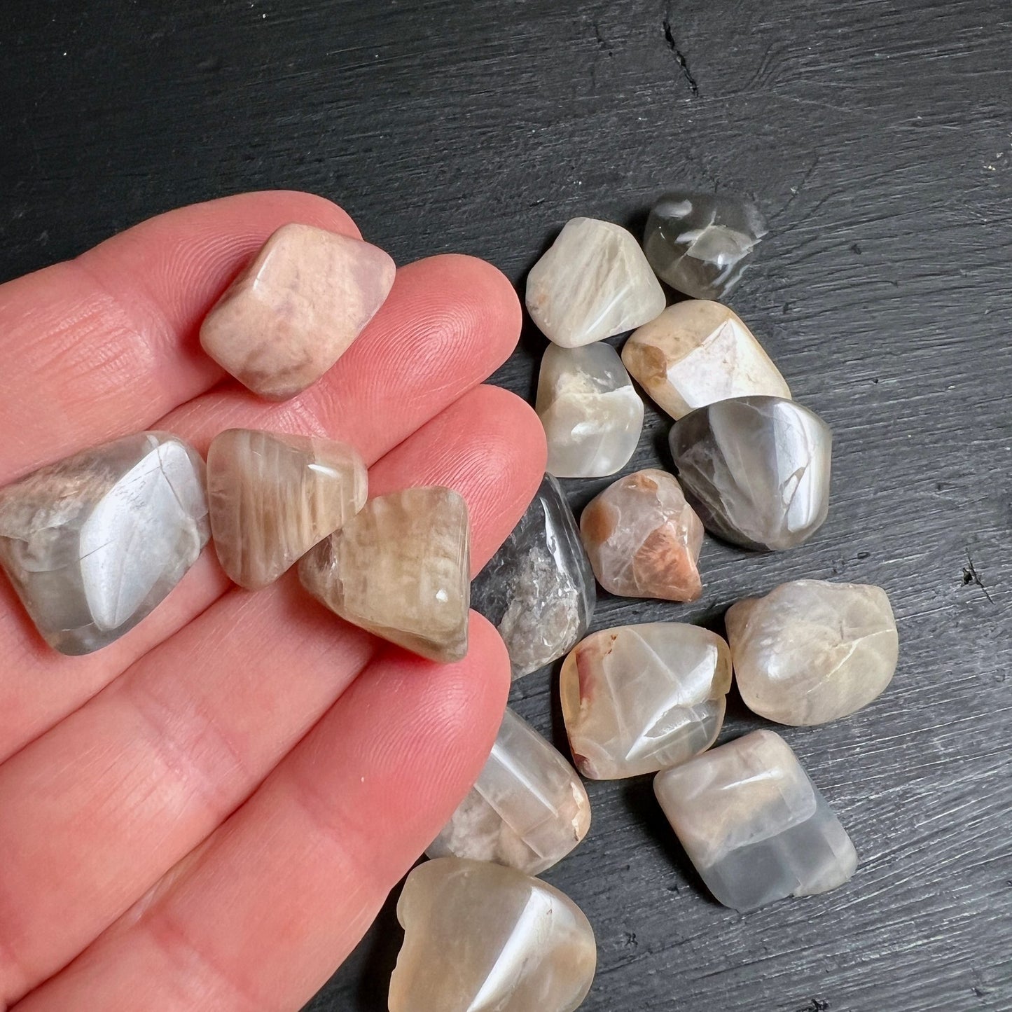 Mondstein Trommelsteine | Hand zeigt Größe | beige-graue Farbtöne | Happy Minerals