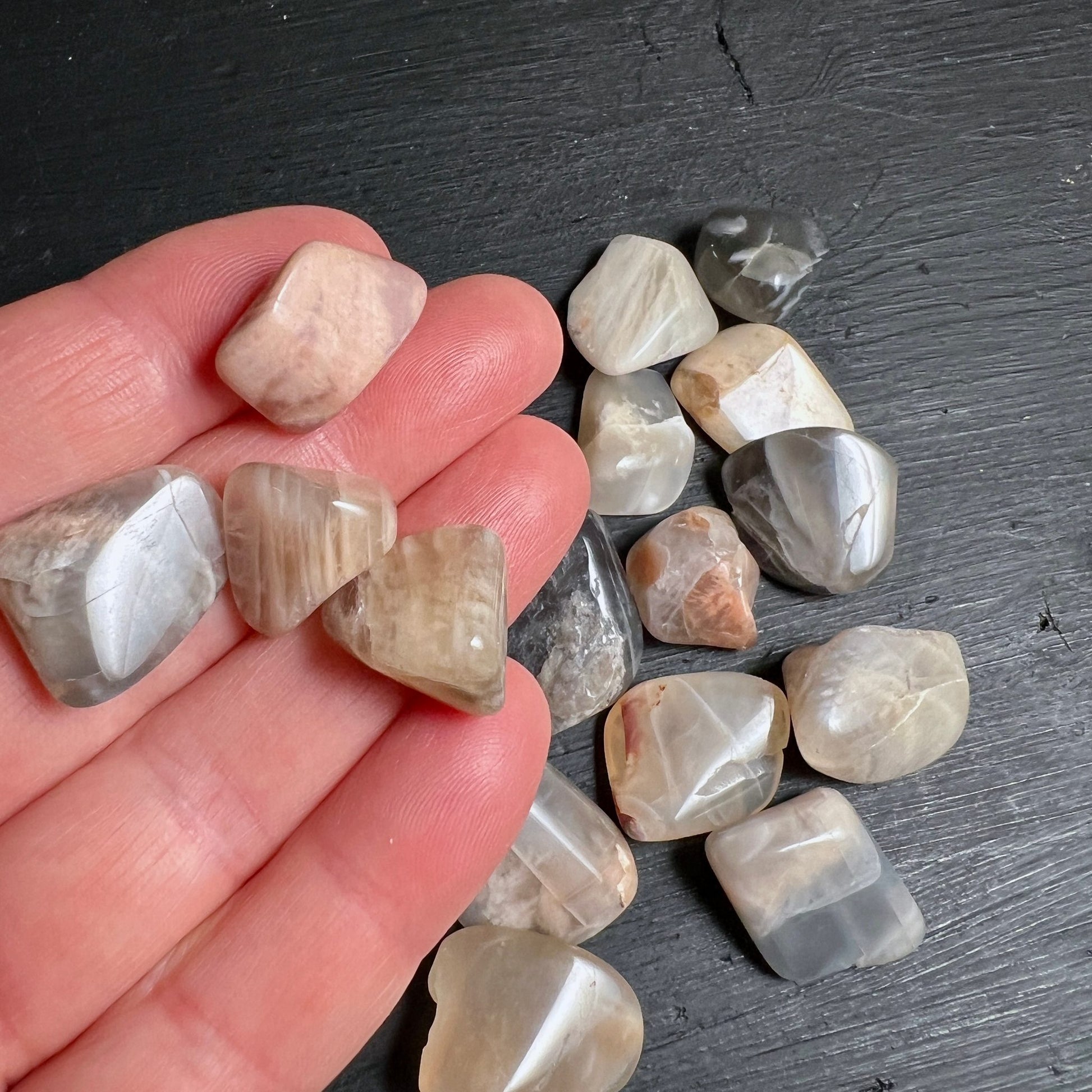 Mondstein Trommelsteine | Hand zeigt Größe | beige-graue Farbtöne | Happy Minerals