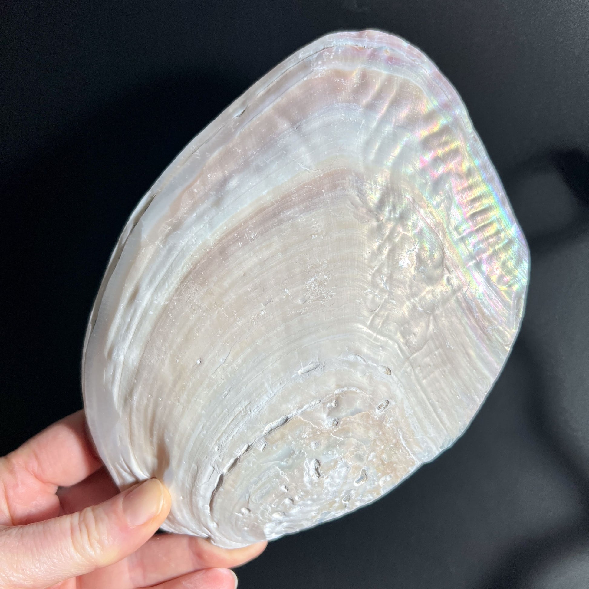 Perlmutt-Schale als Ladeschale für Kristalle | Happy Minerals