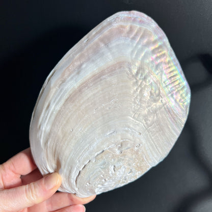 Perlmutt-Schale als Ladeschale für Kristalle | Happy Minerals