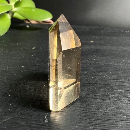 Naturcitrin Kristallspitze | seitliche Ansicht | honiggelbe Transparenz | polierte Oberfläche | Happy Minerals