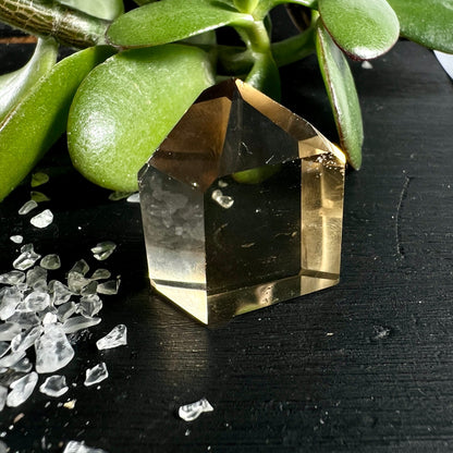 Naturcitrin mit Pflanze | natürliches Ambiente | warme Goldtöne | polierte Spitze | dekorativ | Happy Minerals