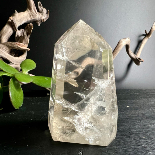 Naturcitrin Spitze | durchscheinend klar | mystische Atmosphäre | Sukkulente Dekoration | Happy Minerals