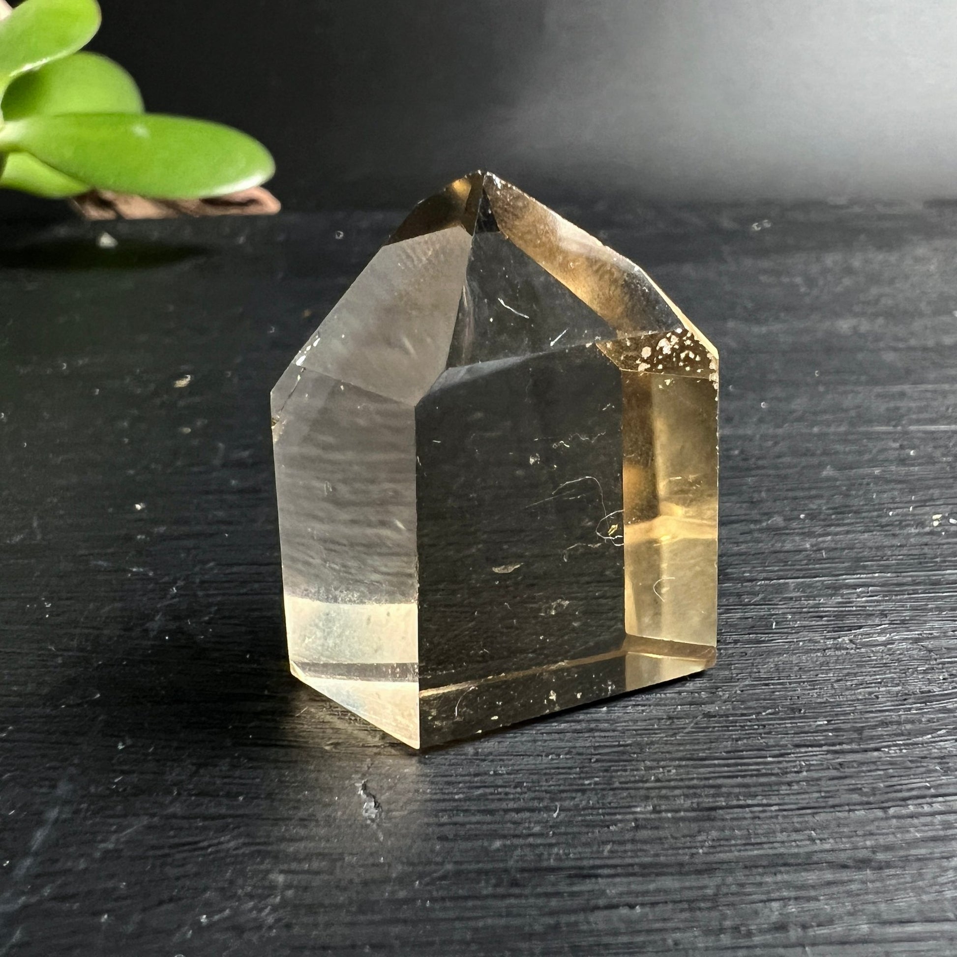 Naturcitrin Spitze Madagaskar | goldgelbe Kristallspitze | poliert | natürliche Einschlüsse | Happy Minerals