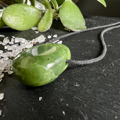 Nephrit Jade Kanada | seitliche Ansicht | glänzend poliert | grüner Stein mit Band | Sukkulente | Happy Minerals
