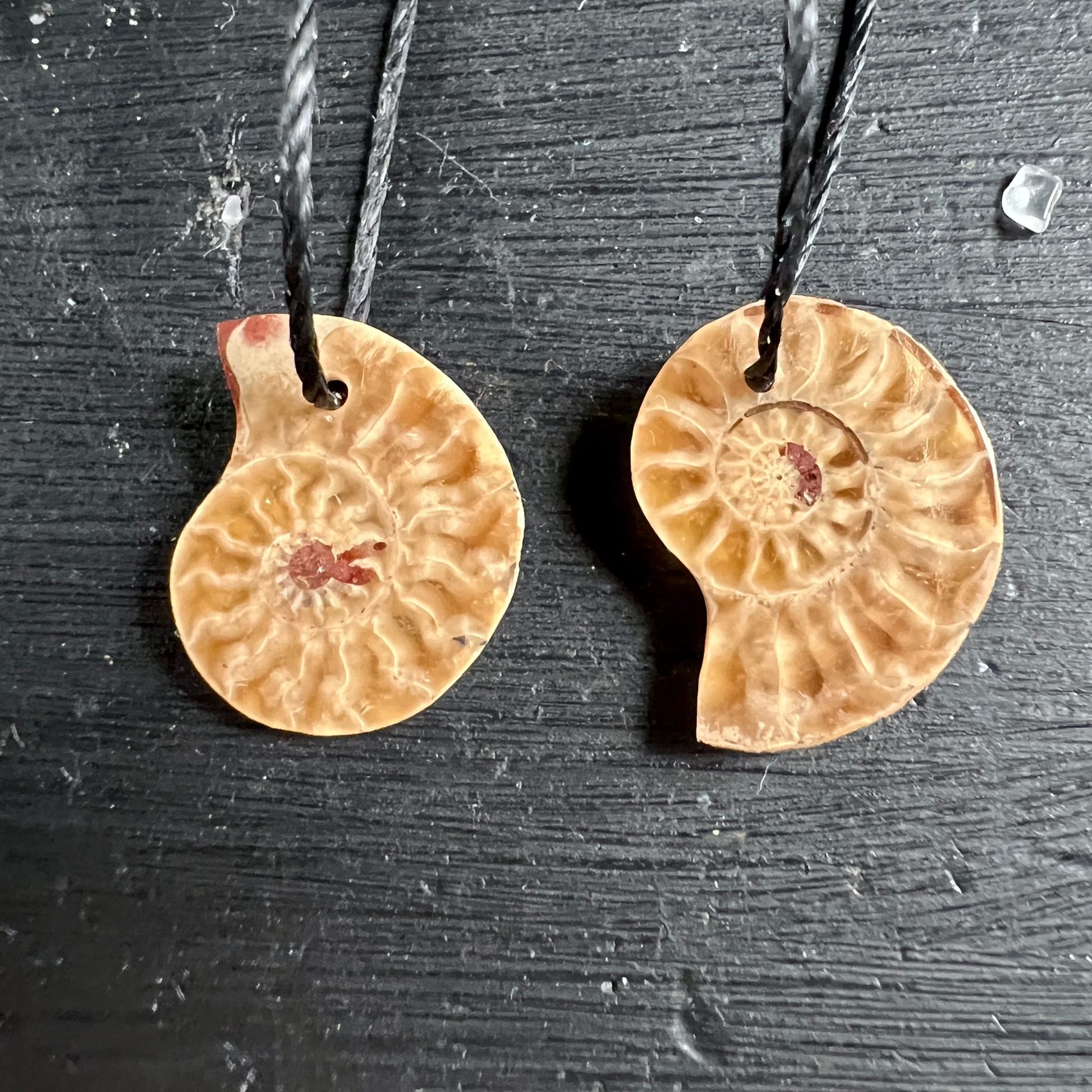 Zwei opalisierte Ammonit Anhänger, cremig-beige mit rötlichen Zentren, Spiralmuster, runde Scheibform, schwarze Kordel | Happy Minerals