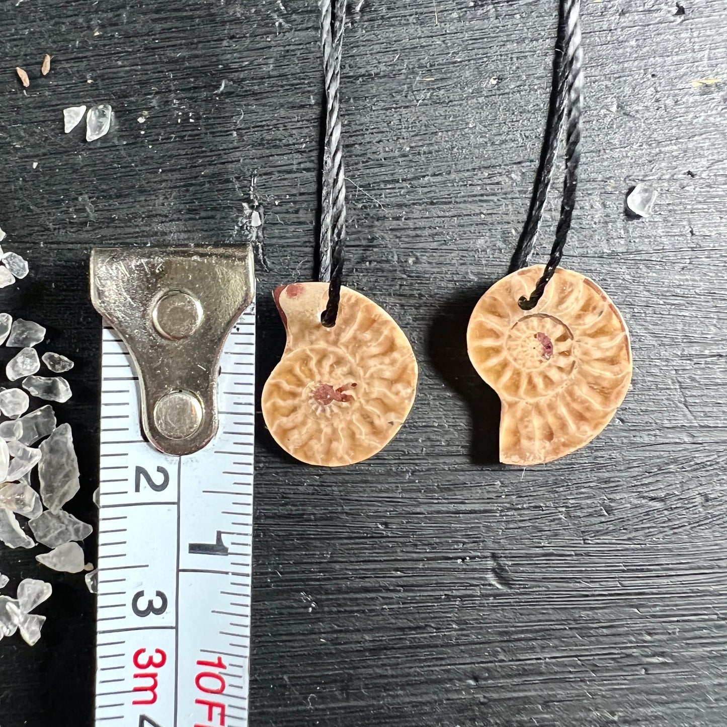 Zwei opalisierte Ammonit Anhänger, cremig-beige mit spiralförmigem Rippenmuster, rotbraune Einschlüsse, runde Scheibenform, ~2cm | Happy Minerals