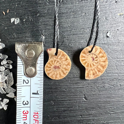 Zwei opalisierte Ammonit Anhänger, cremig-beige mit spiralförmigem Rippenmuster, rotbraune Einschlüsse, runde Scheibenform, ~2cm | Happy Minerals