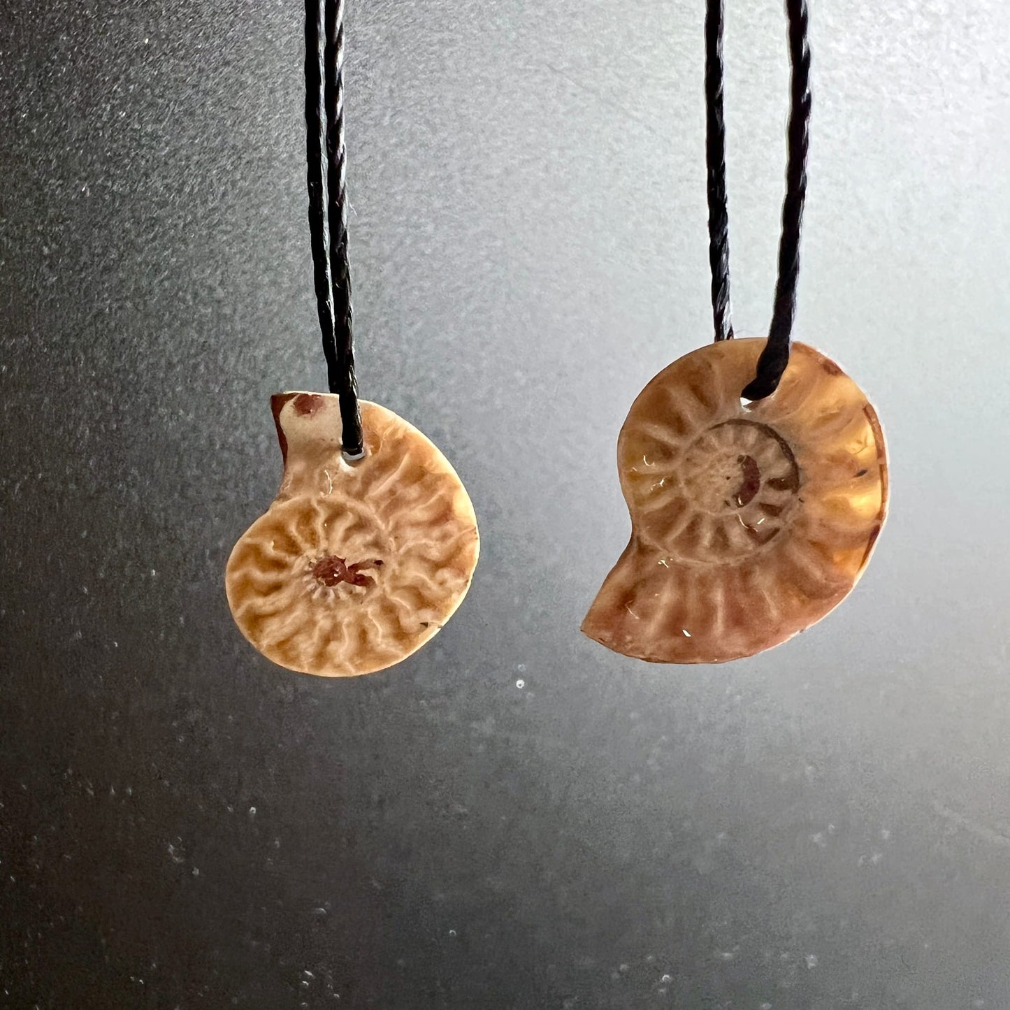 Zwei opalisierte Ammonit Anhänger, cremig-beige und honigbraun, Spiralmuster, Scheibenfom, schwarze Kordel | Happy Minerals