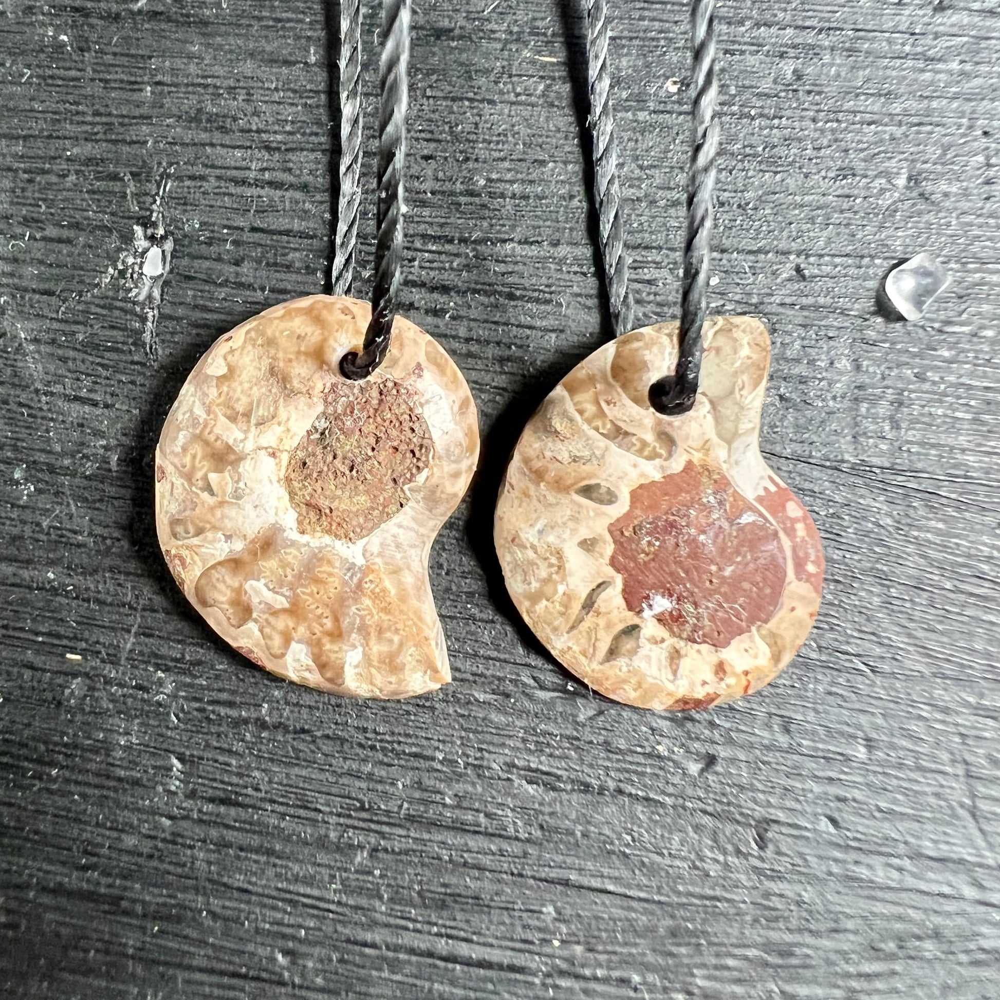 Zwei opalisierte Ammonit Anhänger, cremig-beige mit rotbraunem Zentrum, geschwungene Spiralform, matte Oberfläche | Happy Minerals