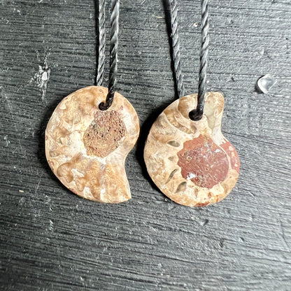 Zwei opalisierte Ammonit Anhänger, cremig-beige mit rotbraunem Zentrum, geschwungene Spiralform, matte Oberfläche | Happy Minerals