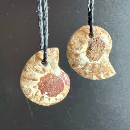 Zwei opalisierte Ammonit Anhänger, spiralförmig, cremig-beige mit rotbraunem und dunkelbraunem Zentrum, matter Naturoberfläche | Happy Minerals