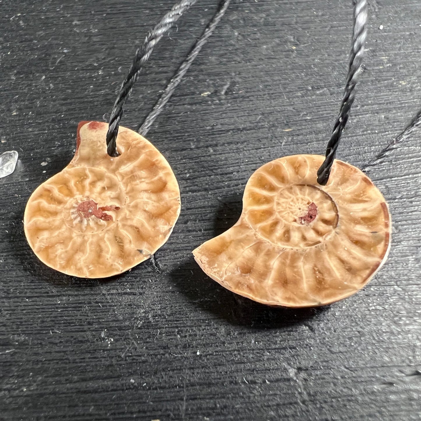 Zwei opalisierte Ammonit Anhänger, sandbraun mit rotbraunen Zentren, spiralförmige Kammerstruktur, schwarze Kordel | Happy Minerals