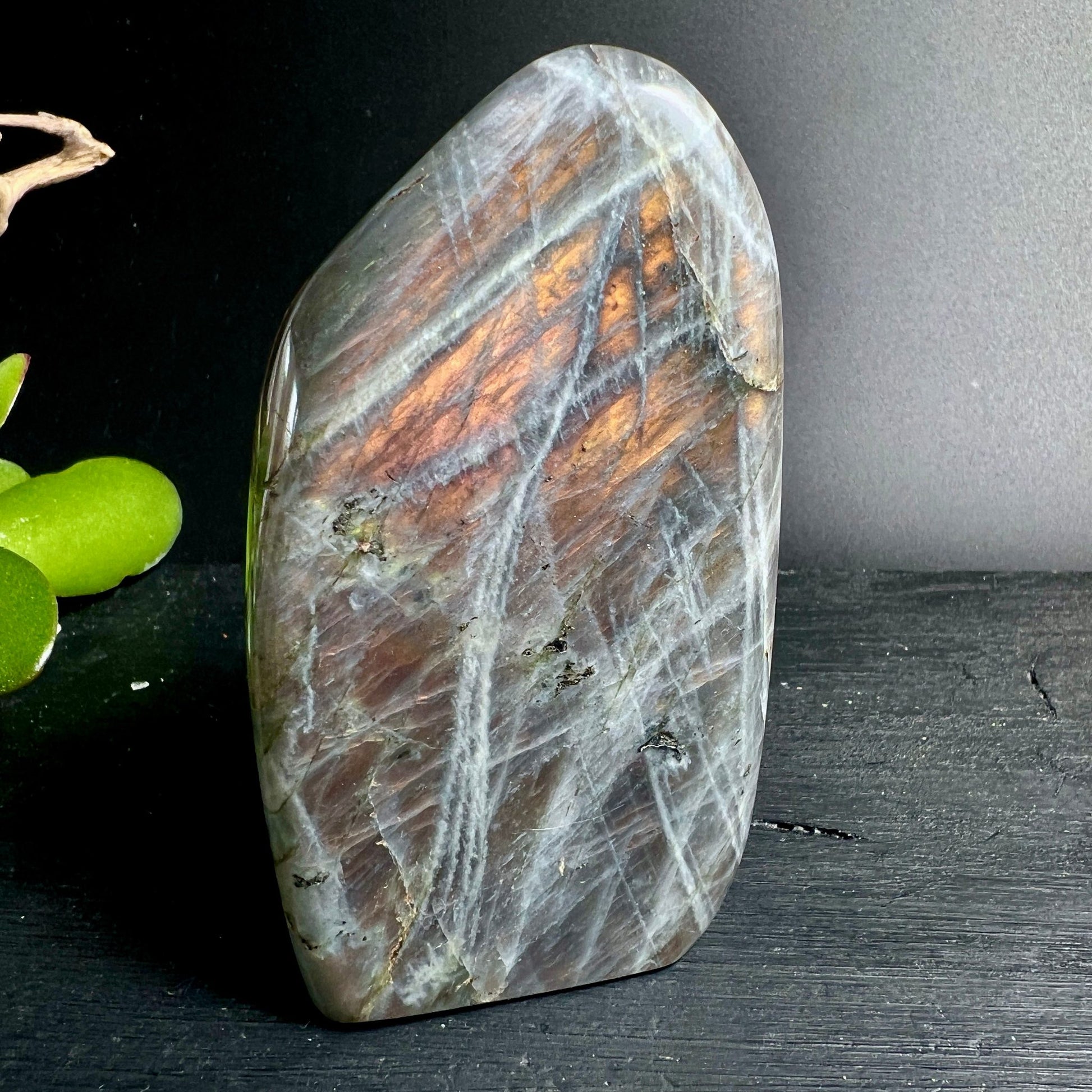 Orange lila Labradorit Freeform | stehend poliert | Madagaskar | feurige Schiller | Happy Minerals