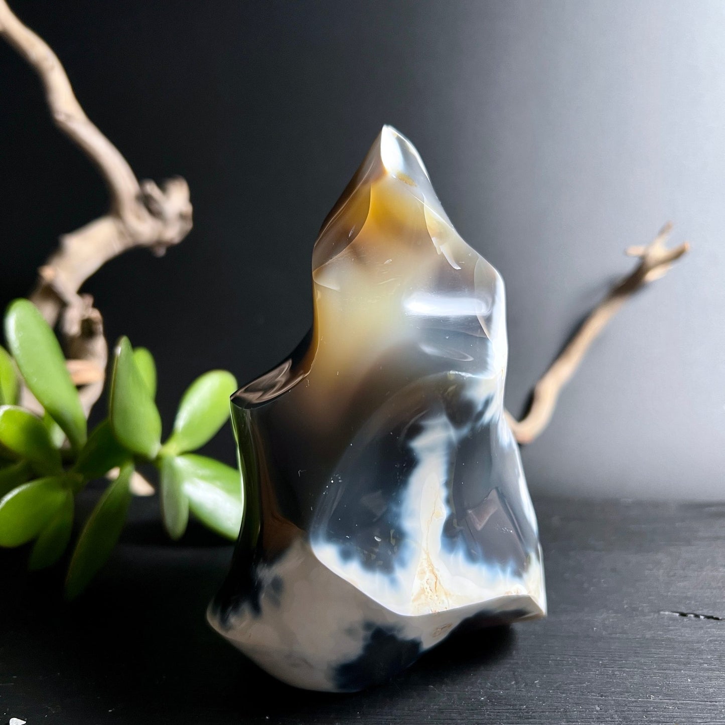 Orca Achat Flamme | honiggelbe Durchleuchtung | transluzente Schönheit | Madagaskar Edelstein | Happy Minerals