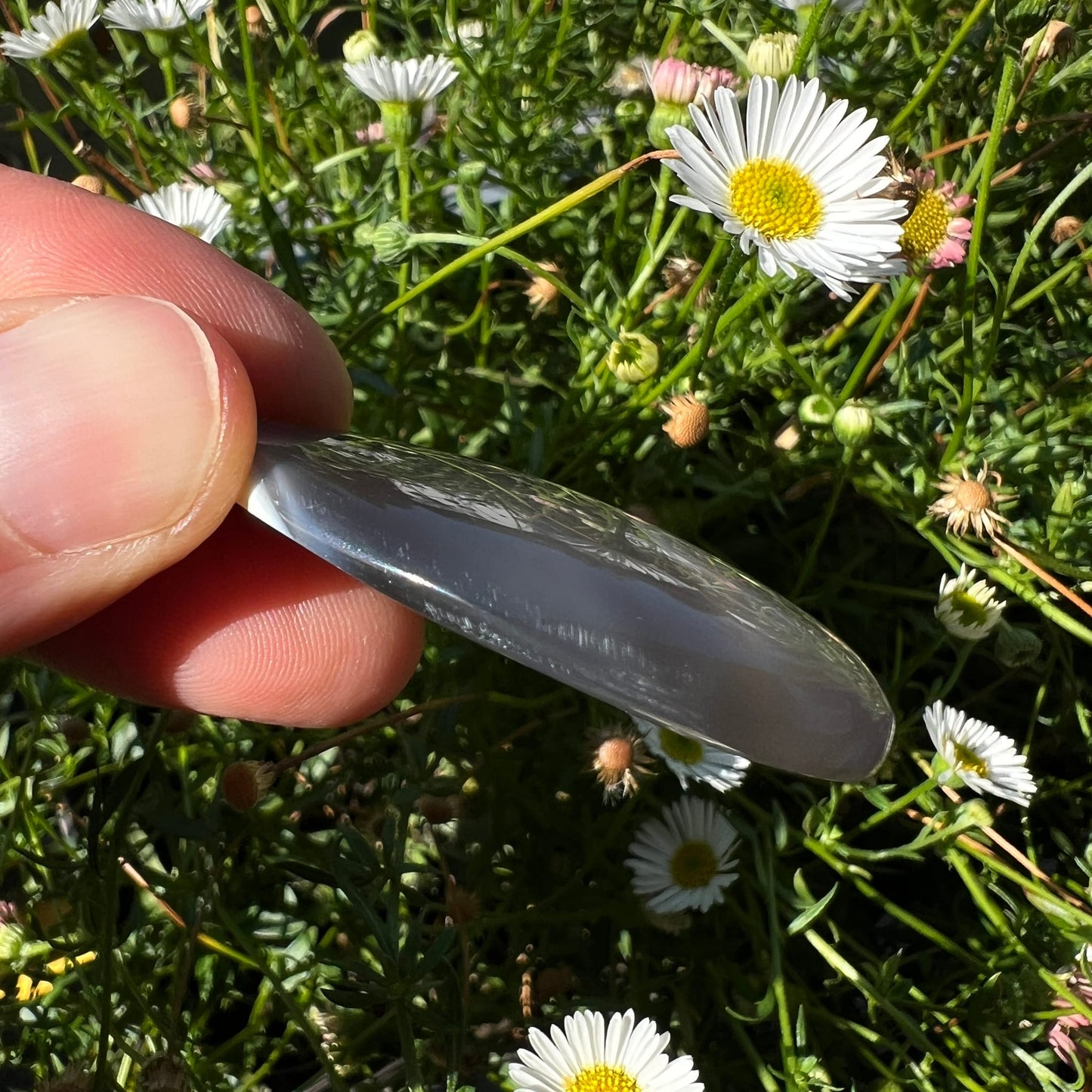 Orca Achat Tropfen | Seitenansicht | flache Rückseite sichtbar | transluzent | Gänseblümchen | Happy Minerals
