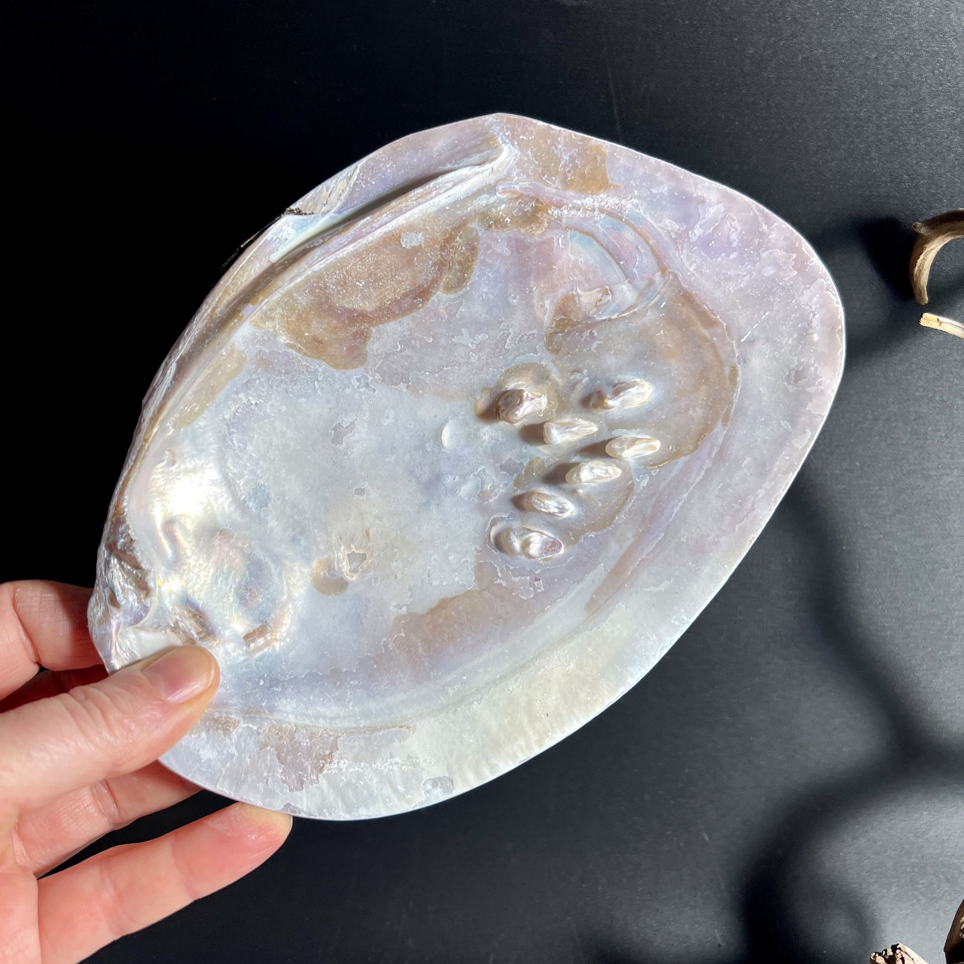 Perlmutt Räucherschale mit natürlichem Schimmer | Happy Minerals