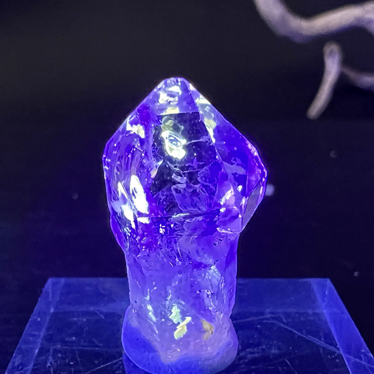 Seltener Petroleum Quarz Zepter Kristall aus Madagaskar | Happy Minerals