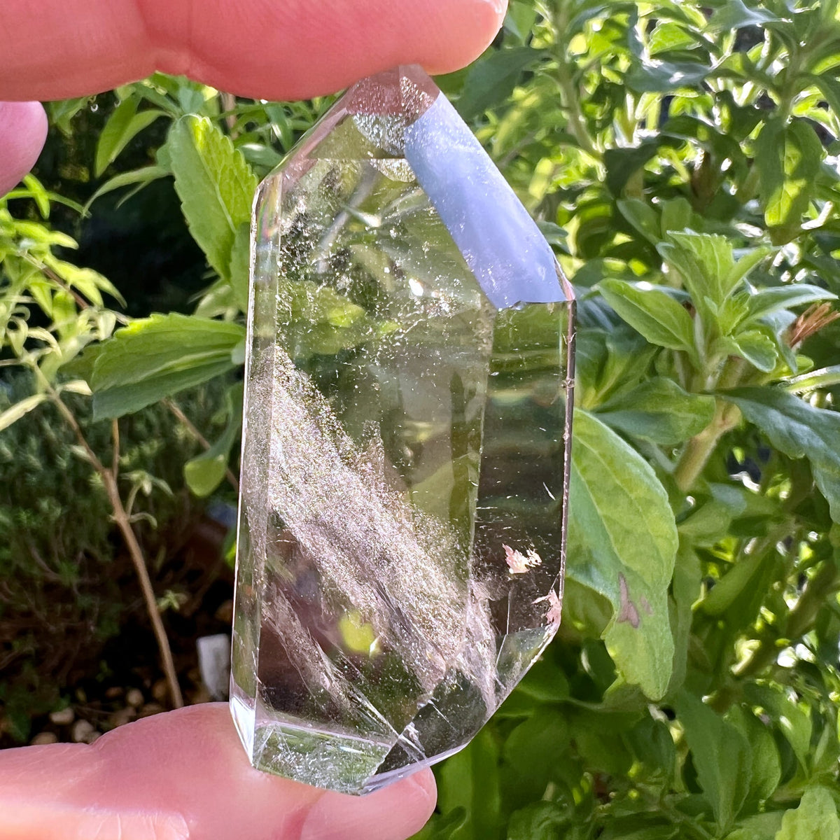 Phantomquarz in der Hand | vor grünen Blättern | polierte Spitze | Happy Minerals | Unikat