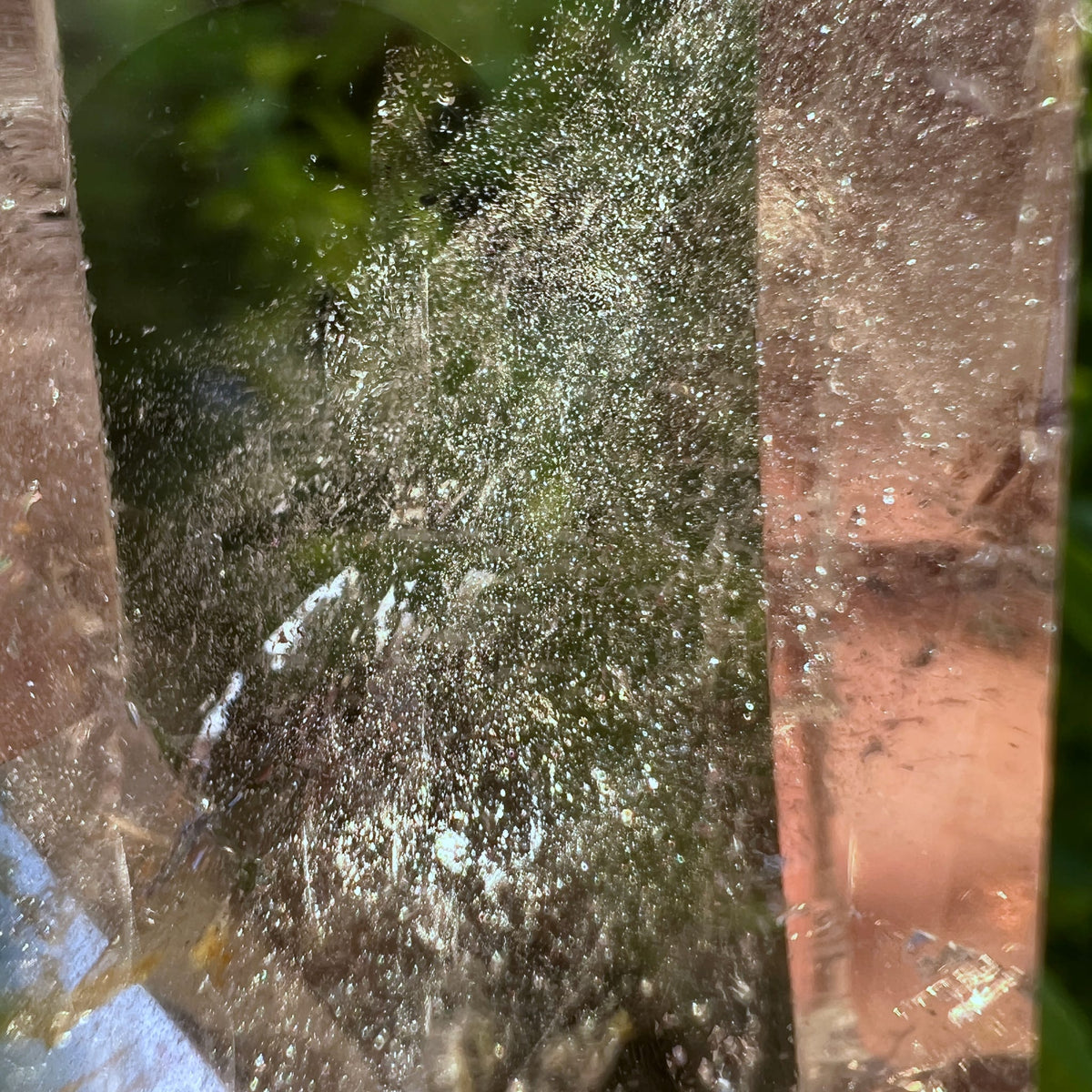 Phantomquarz im Sonnenlicht | grüner Naturhintergrund | zarte Schichten | Happy Minerals