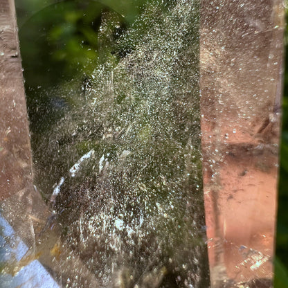 Phantomquarz im Sonnenlicht | grüner Naturhintergrund | zarte Schichten | Happy Minerals