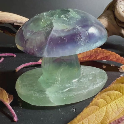 Fluorit Pilz Skulptur 50x60x48mm | 157g | UV fluoreszierend