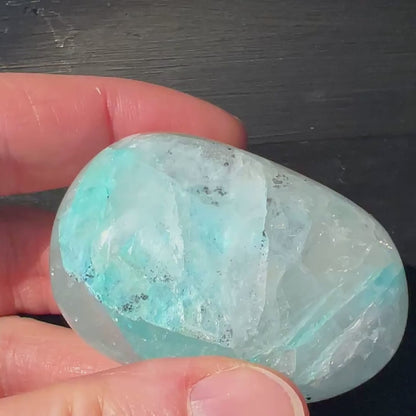 Gemsilica PalmStone | HappyMinerals