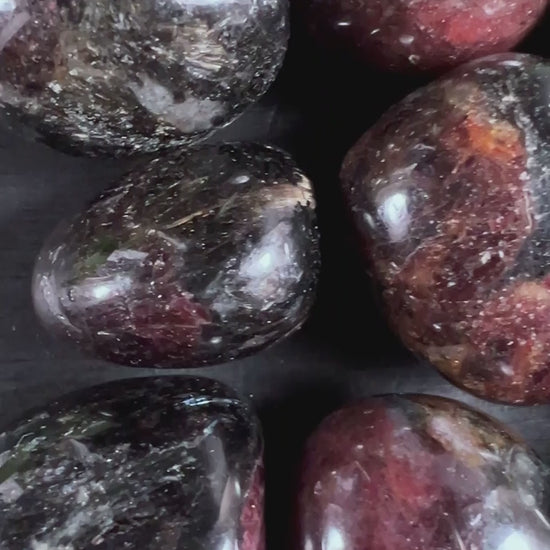 Granat mit Arfvedsonit Sammlung auf schwarzem Holz - Happy Minerals