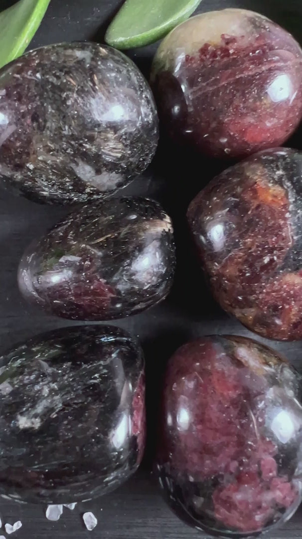 Granat mit Arfvedsonit Sammlung auf schwarzem Holz - Happy Minerals