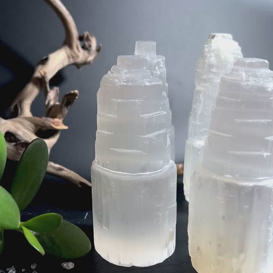 Selenitturm stimmungsvoll dekoriert mit Sukkulente und Treibholz Wohnambiente