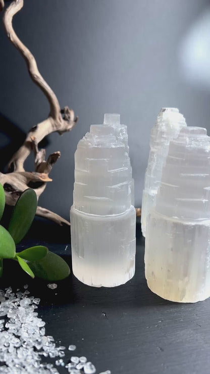 Selenitturm stimmungsvoll dekoriert mit Sukkulente und Treibholz Wohnambiente