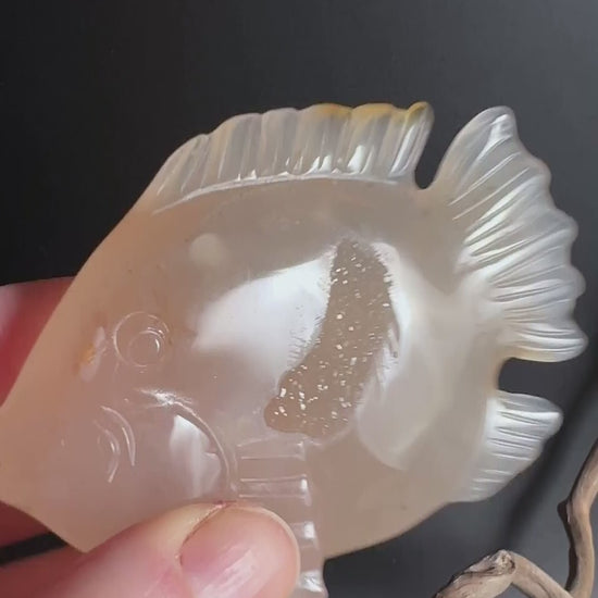 achat-fisch-figur-creme-orange-brasilien-happy-minerals