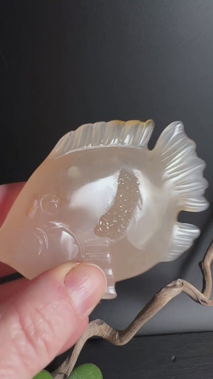 achat-fisch-figur-creme-orange-brasilien-happy-minerals