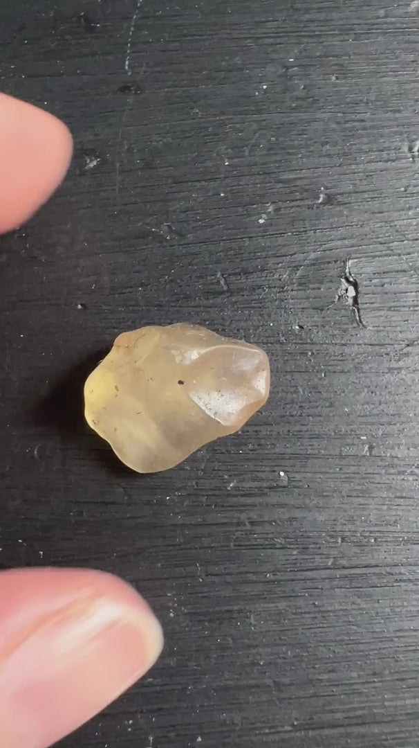 Libysches Wüstenglas Tektit honiggelb auf dunklem Holz | Sahara Naturfund | Happy Minerals