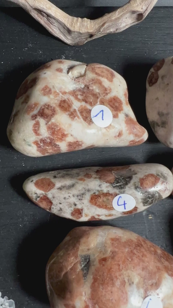 Neun Hessonit Granat Handschmeichler in Wollastonit aus Namibia auf dunklem Untergrund