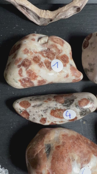 Neun Hessonit Granat Handschmeichler in Wollastonit aus Namibia auf dunklem Untergrund