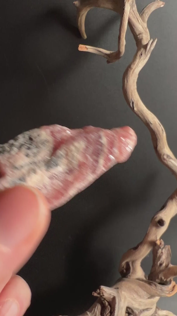 Roher Rhodochrosit aus Argentinien intensives Himbeerrosa mit Muttergestein