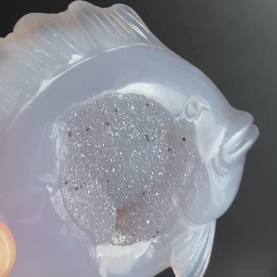 Handgeschnitzter Achat Fisch mit silberner Druzy Geode und schwarzen Einschluessen