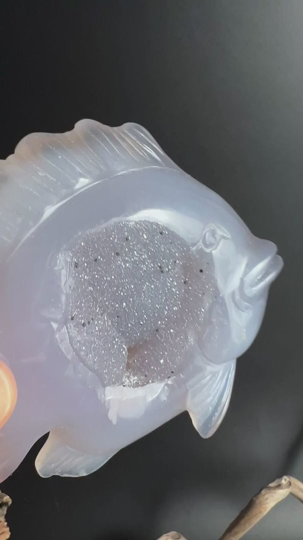 Handgeschnitzter Achat Fisch mit silberner Druzy Geode und schwarzen Einschluessen